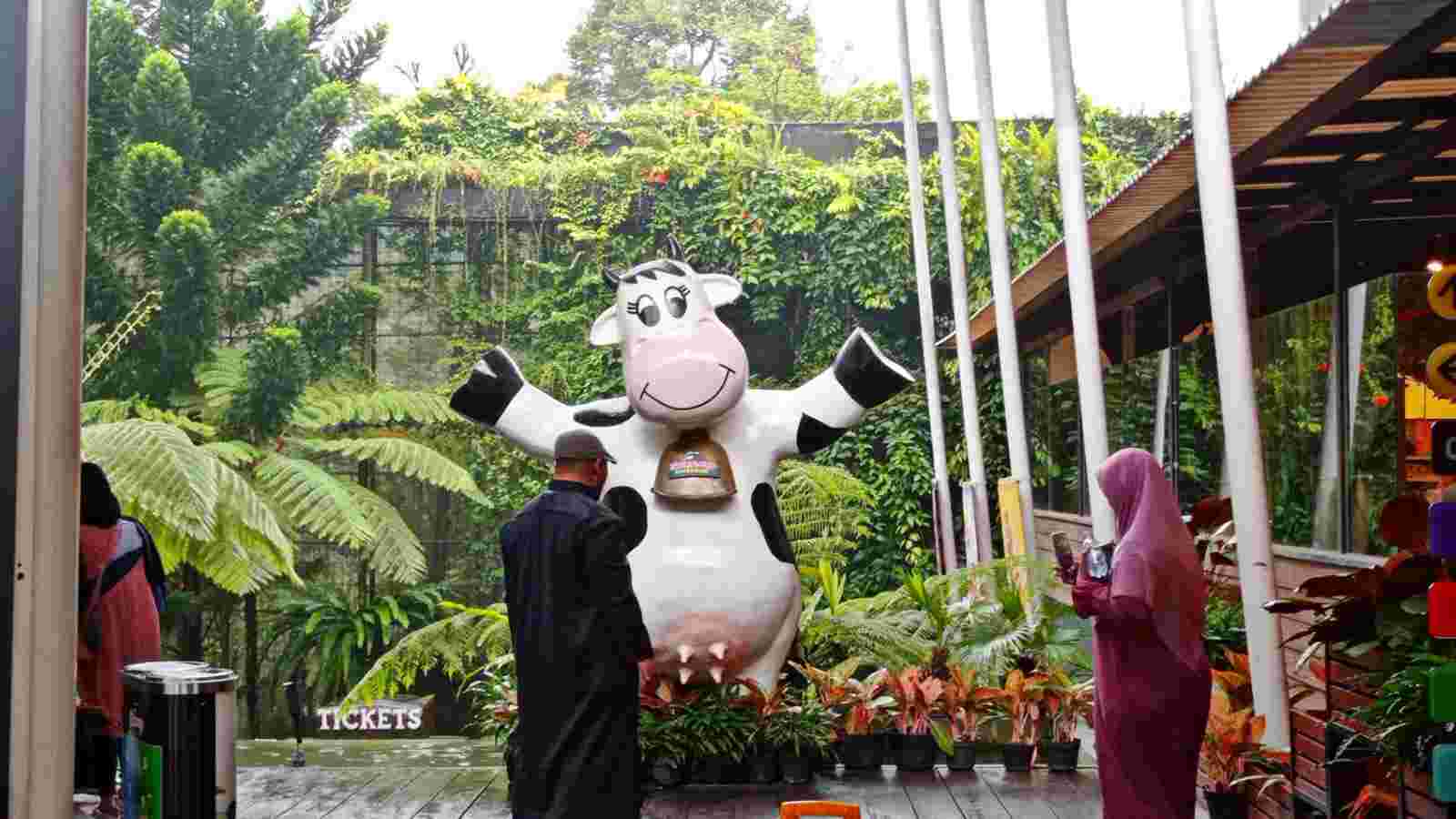 Wisata Puncak Bogor Cimory Diaryland : Lokasi, harga tiket dan wahana seru